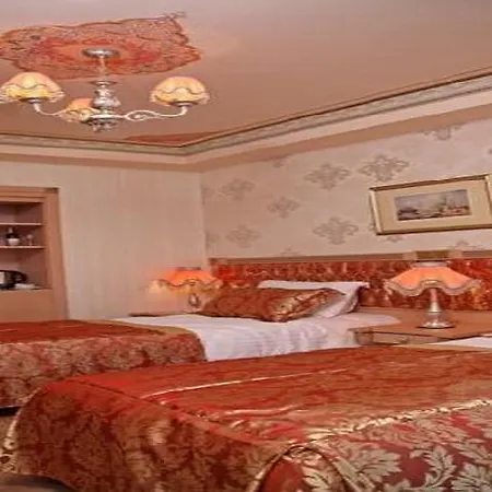 Albatros Premier فندق